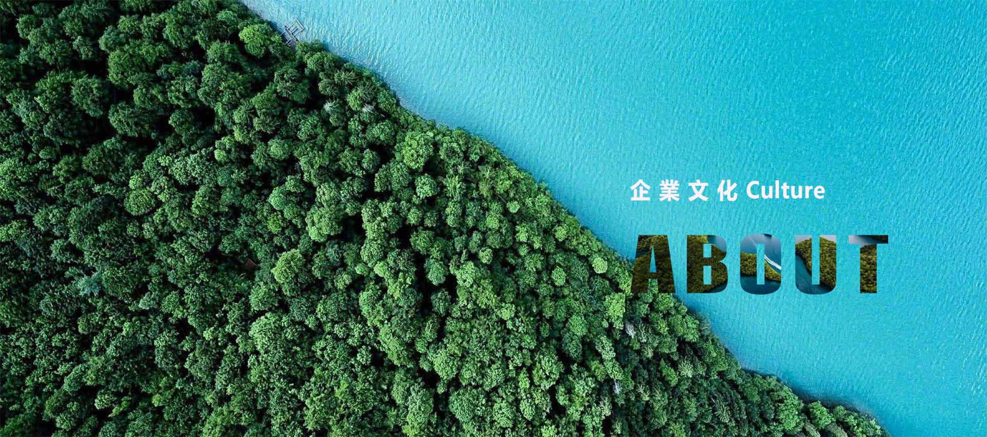 圖片展示